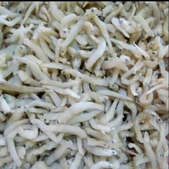 Teri Medan Premium